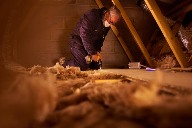 Best Insulation Installation Services in Wausau, WI